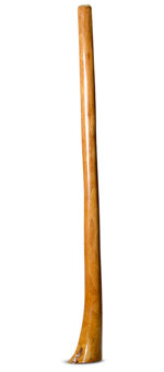 Gloss Finish Flared Didgeridoo (TW1109)